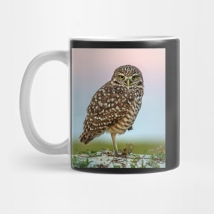 Burrowing Owl at Dusk Mug